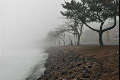 bradley_beach_fog_at_fletcher_lake