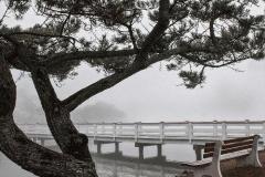 bradley_beach_pedestrian_bridge_over_flectcher_lake