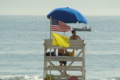 lifeguards2012_490x550