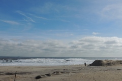 man-on-beach-063_640x480